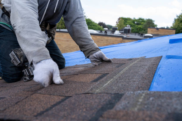 Best Roof Waterproofing Services  in Port Dickinson, NY